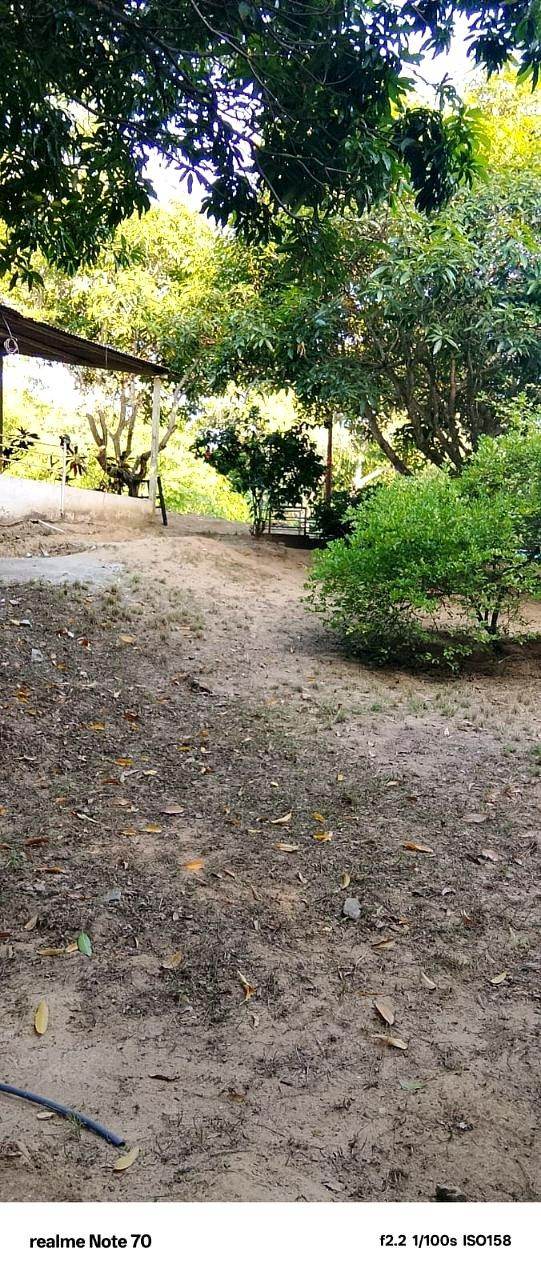 Lote campestre · Opción 40