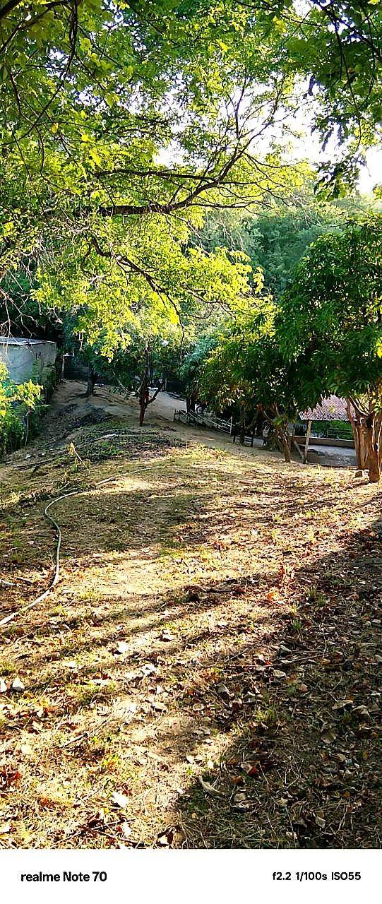 Lote campestre · Opción 52