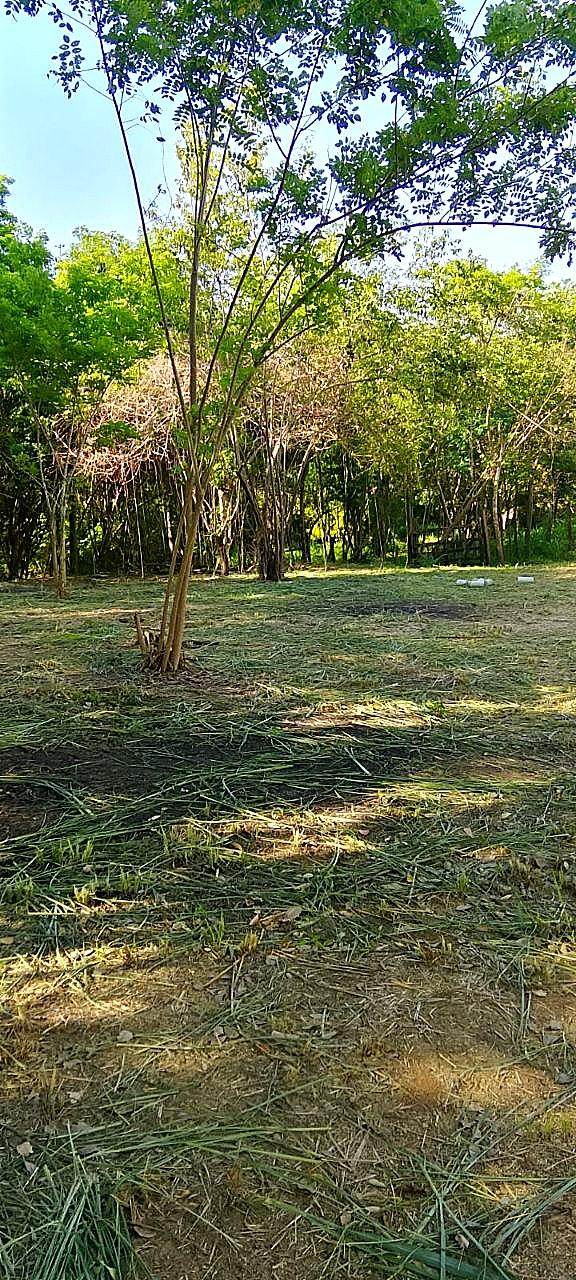 Lote campestre · Opción 57