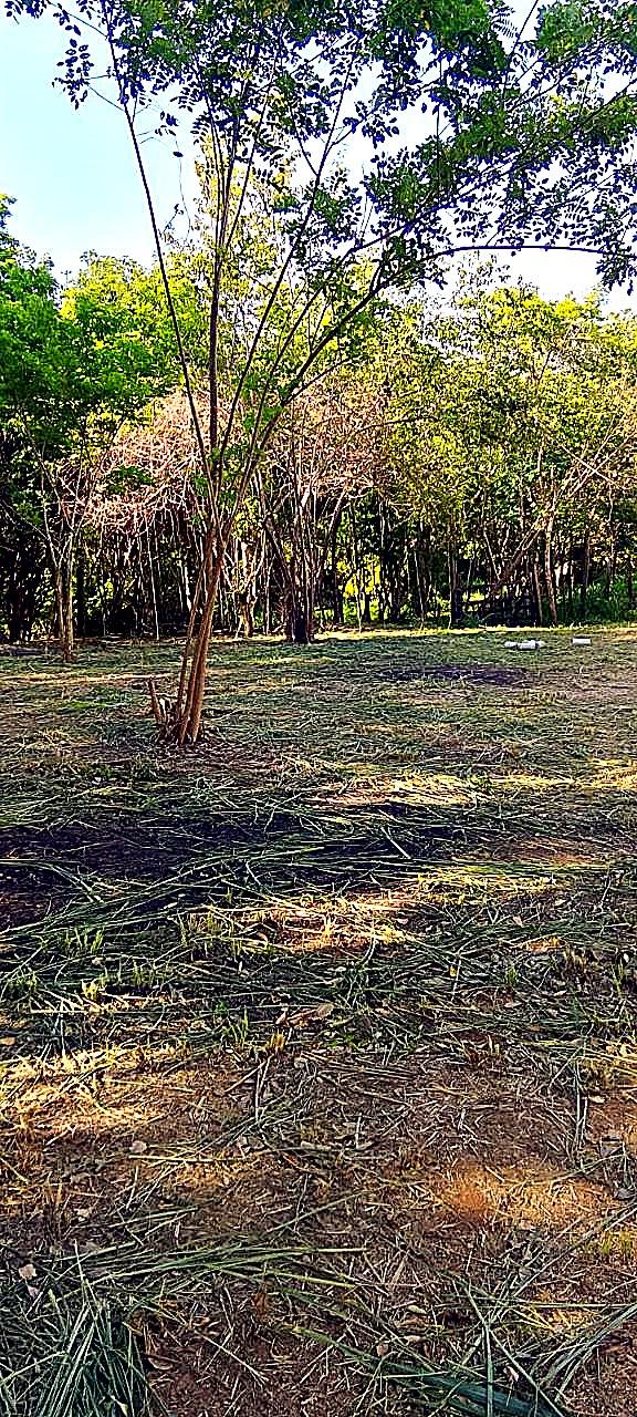 Lote 200 m² vía Minca Km 3 — vista 1