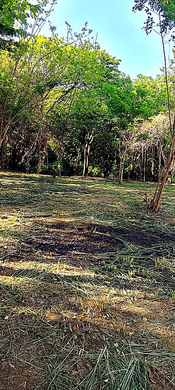 Lote 200 m² vía Minca Km 3 — vista 2