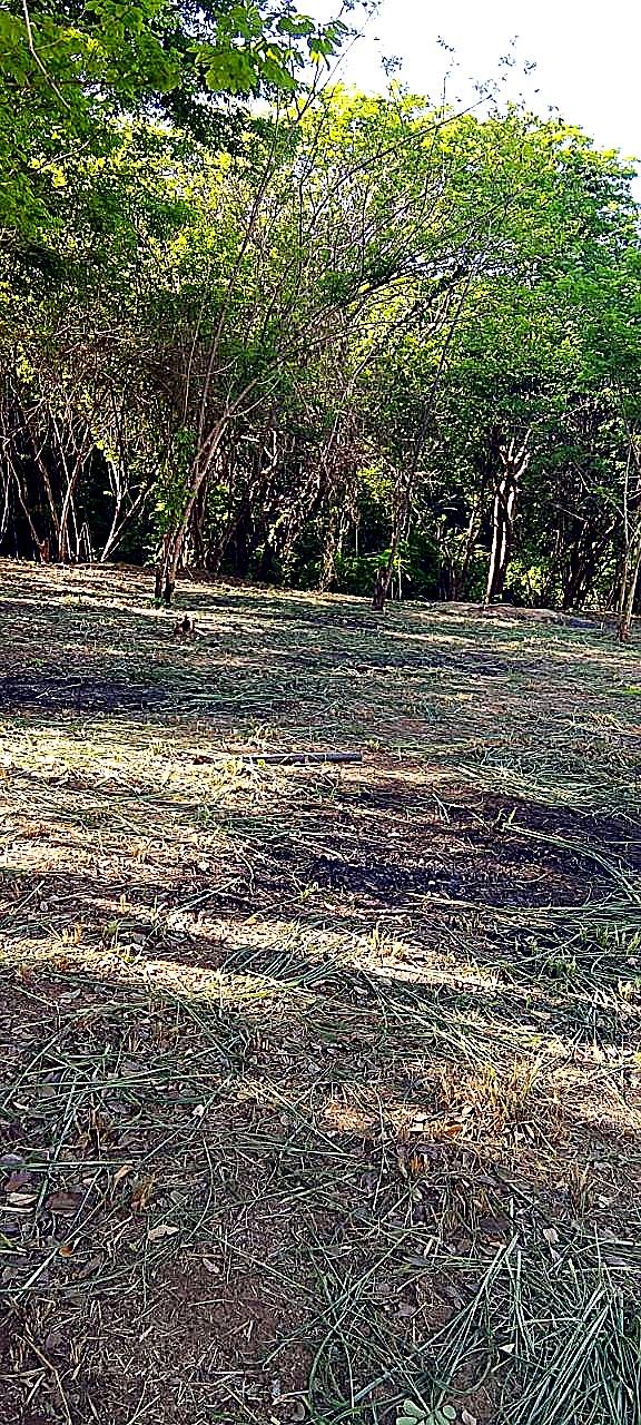 Lote 200 m² vía Minca Km 3 — vista 4