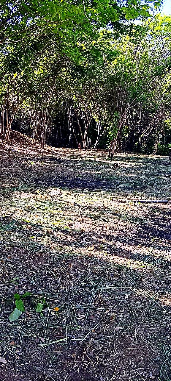 Lote 200 m² vía Minca Km 3 — vista 5